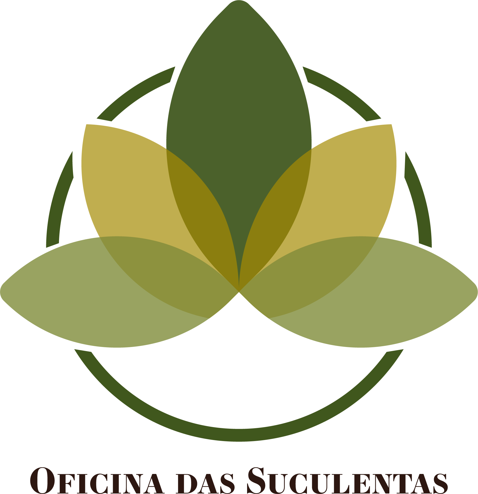 Oficina das Suculentas